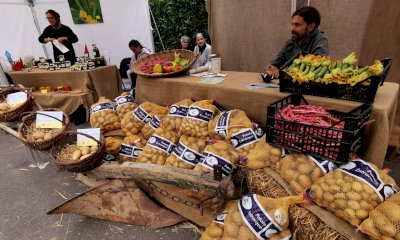 A Entracque tutto pronto per la Fiera della Patata
