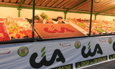 A San Rocco torna l’appuntamento con la tradizionale Mostra Regionale Ortofrutticola 