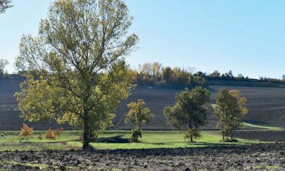 Riprendono il 17 settembre le attività del Punto Informativo Forestale di Mondovì