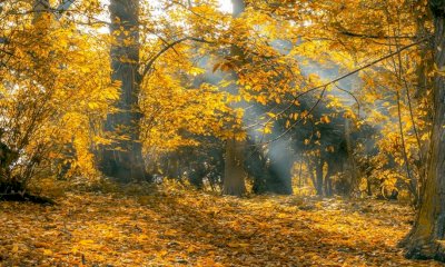 Secondo l'Arpa il Piemonte è atteso da un autunno più caldo della media