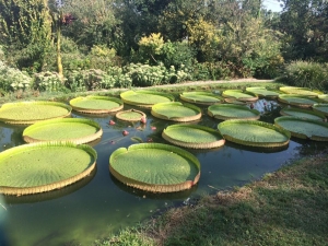 Anticiclone africano a pieno regime in provincia di Cuneo
