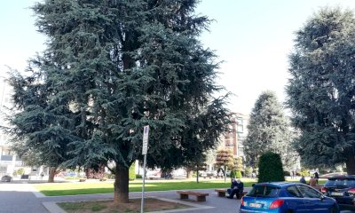 Piazza Europa, l’assessore risponde: “Nessun problema con Roma. La piazza non sarà un bosco urbano”