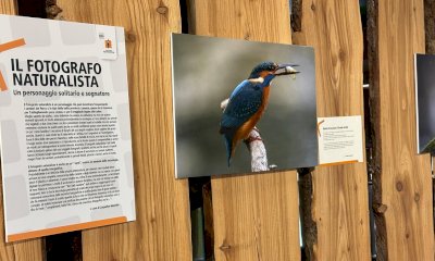 Prorogata fino al 29 settembre la mostra 