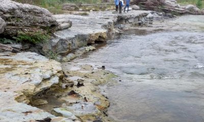 Alla scoperta della foresta fossile di Fossano con il Museo Craveri