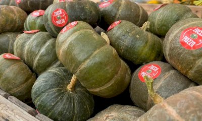 La Zucca di Piozzo entra nell’Arca del Gusto di Slow Food