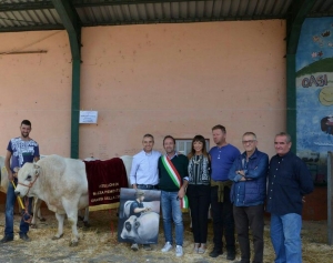 Fiera bovina a Cervere: montepremi a 7000 euro e Tosap azzerata per gli espositori