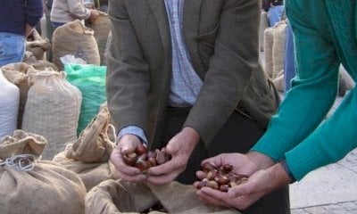 A Borgo San Dalmazzo torna il tradizionale mercato delle castagne