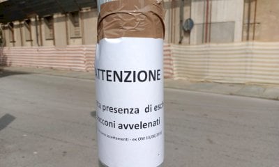 “Attenti ai bocconi avvelenati”: l’avviso davanti all’ex Policlinico di Cuneo