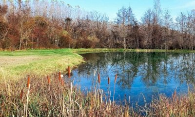 Ottobre al Parco fluviale: il programma degli eventi