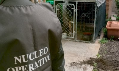 A Chiusa Pesio un cane era rinchiuso nel box al buio: la denuncia degli animalisti