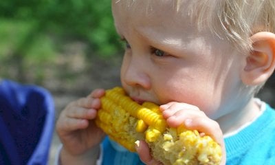 Il Polo Agrifood celebra la Giornata Mondiale dell’Alimentazione