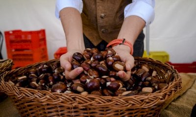 Corso Giolitti si veste con le tinte della Fiera del Marrone