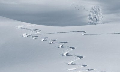 Dalla Regione “piovono” quasi 70 milioni per il sostegno del sistema neve