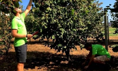 Fondazione Agrion in commissione regionale per parlare della crisi delle nocciole