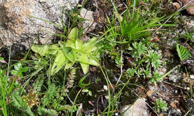 “Halloween al Museo”: un pomeriggio da brividi a Revello