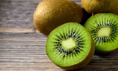 Coltivare kiwi nel 2024 è ancora un investimento “certo”?