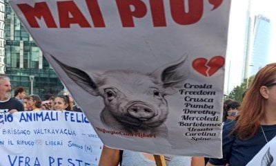 “Cuori Liberi” a Savigliano: questa sera il documentario sullo sgombero del rifugio animalista