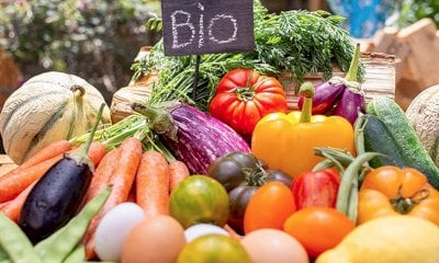 “Biologico semplificato, il modello green pesa solo sugli agricoltori”