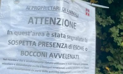 Borgo San Dalmazzo, bocconi avvelenati segnalati nella zona del Tesoriere e di via dei Boschi