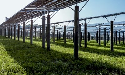 Agrivoltaico, Marnati: “Una delibera per rendere più restrittivi i vincoli nelle zone Unesco”