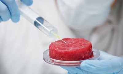 Cibi costruiti in laboratorio, Coldiretti Cuneo: 