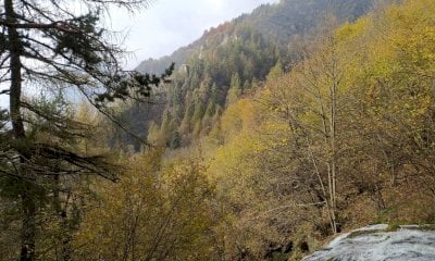 “Autunno in Valle Po”: un’escursione alla scoperta dei colori autunnali di Ostana