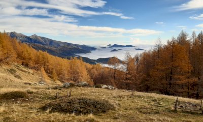 Autunno: al Marguareis inizia la stagione degli interventi di selvicoltura