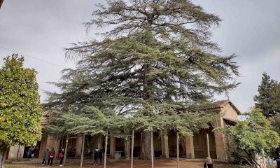 Da Cherasco a Busca per visitare l'Eremo e le cave di alabastro