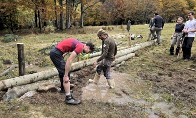 Giovani forestali e guardiaparco delle Marittime: un'alleanza per la rana temporaria