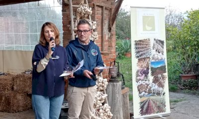 A Caraglio il 16 e 17 novembre c'è 