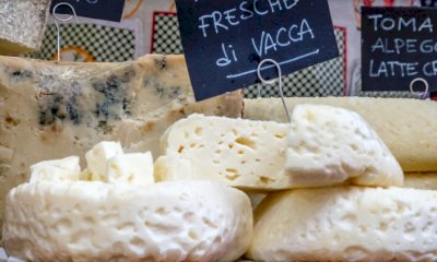 “Bee”: ultimi posti disponibili per le attività in settimana 