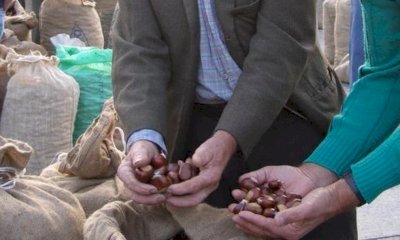 Borgo, chiude il Mercato delle Castagne: 