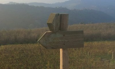 Domenica ci sarà l’inaugurazione del Sentiero del Dolcetto