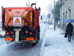 Gara per la fornitura di sale per i trattamenti invernali delle strade