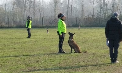 Salmour ospita le prove per i cani da soccorso organizzate dall’Anfi