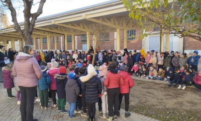 Bra ha celebrato la Festa dell’Albero