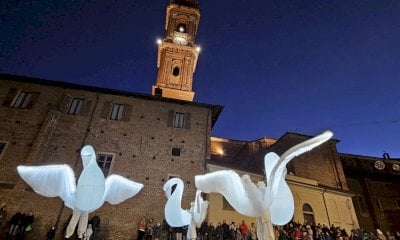 Il tuo Natale a Saluzzo: mercatini, fuochi pirotecnici e il grande Albero della Città