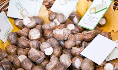 A Borgo dal 4 all'8 dicembre c'è la Fiera Fredda: ecco il programma