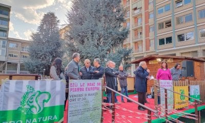 Piazza Europa, sulla riqualificazione l’incognita dell’azione legale contro l’abbattimento dei cedri