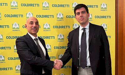 Coldiretti Cuneo, Francesco Goffredo sarà il nuovo direttore