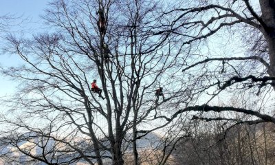 Un lavoro di squadra per curare il 