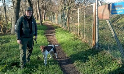 Mattia e Argo contro i bocconi avvelenati: cani e operatori in azione a Torino