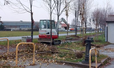 Continuano i lavori di rigenerazione del verde pubblico a Borgo San Dalmazzo
