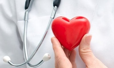 Attraverso il cuore: un viaggio tra embriologia, tradizione vedica e medicina tradizionale cinese