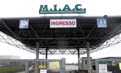 Il destino del Miac in mano all’advisor: Cuneo potrebbe “staccare la spina” all’ex mercato bovino