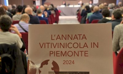 Il Piemonte si conferma come seconda regione italiana per fatturato del comparto vinicolo