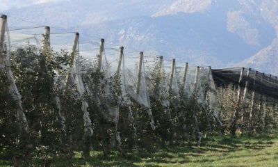  In Piemonte nuovi finanziamenti regionali per l'acquisto e installazione di ventilatori, bruciatori e reti