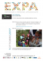 Sulla via della mela