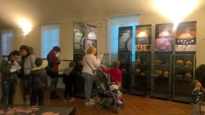 I musei di Cuneo aderiscono alla Giornata Nazionale delle Famiglie al Museo 