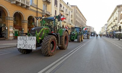 Giovedì la 